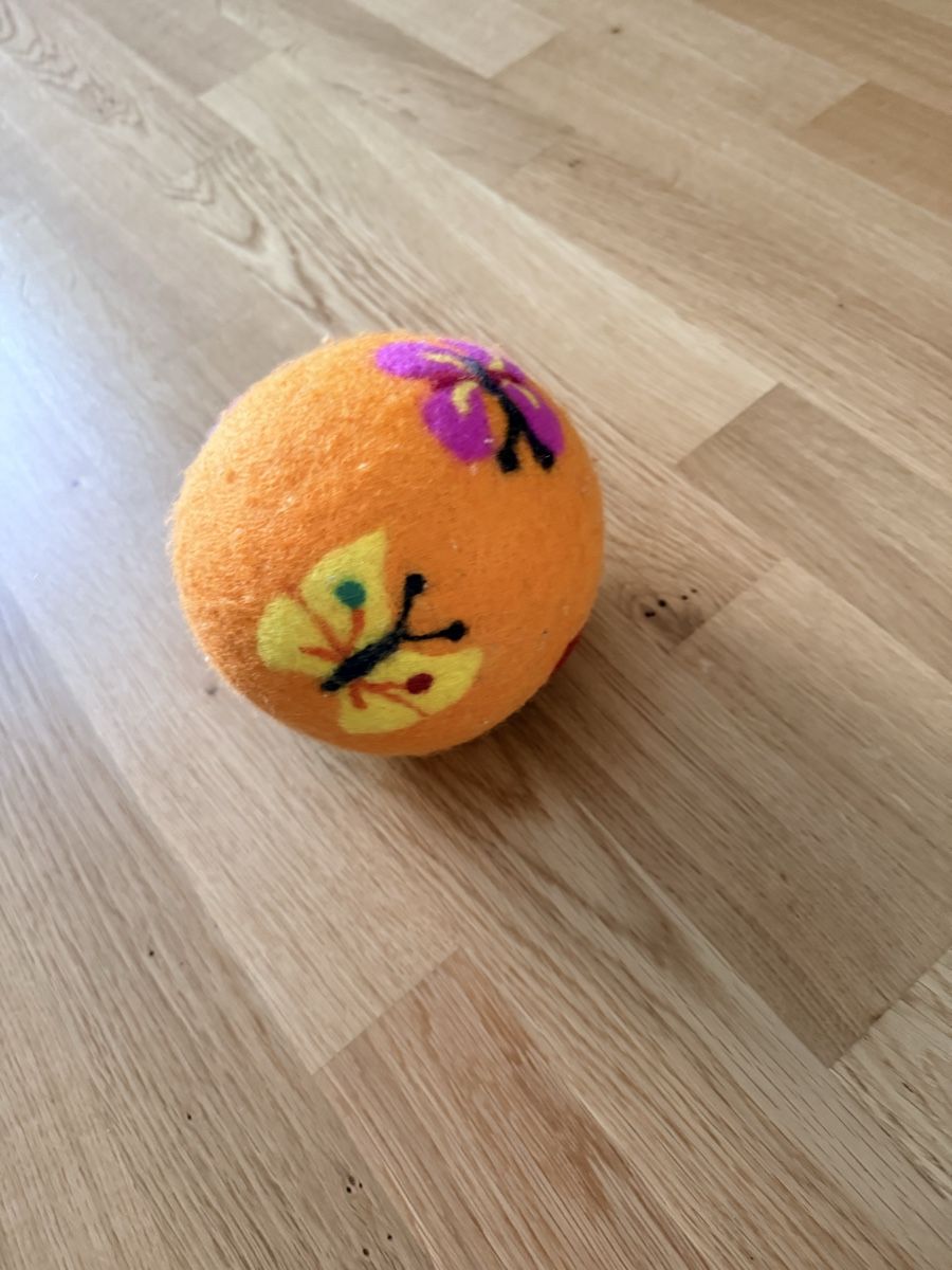 Giocattoli: Ball für die Katze – Nuovo (secondo la descrizione) da Gelterkinden venduto da san_5xd8 2