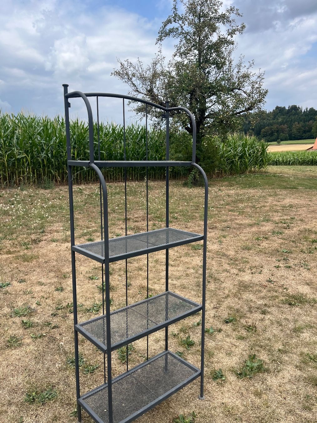 Scaffali: Blumen Regal Metall – Usato da Allmendingen b. BE venduto da juair