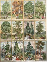 Suchard - Serie von 12 Chromobilder / Anciennes chromos 1905