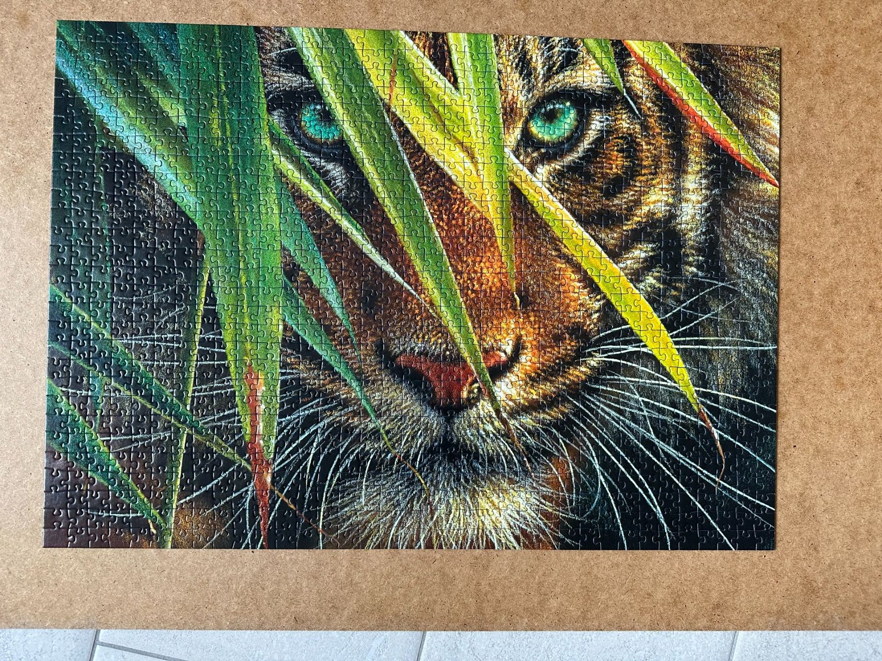 Ravensburger Puzzle: Farbenprächtiges Tier Puzzle von Ravensburg – Usato da Zürich venduto da Linthi1 1