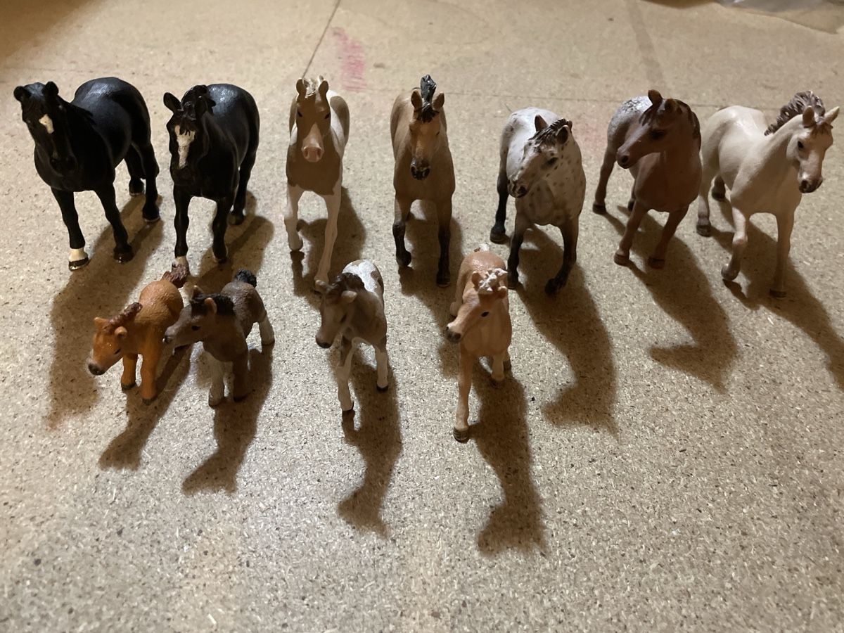 Schleich Giocattoli: Schleichtier Set  – Usato da Niederhasli venduto da nic_65cm