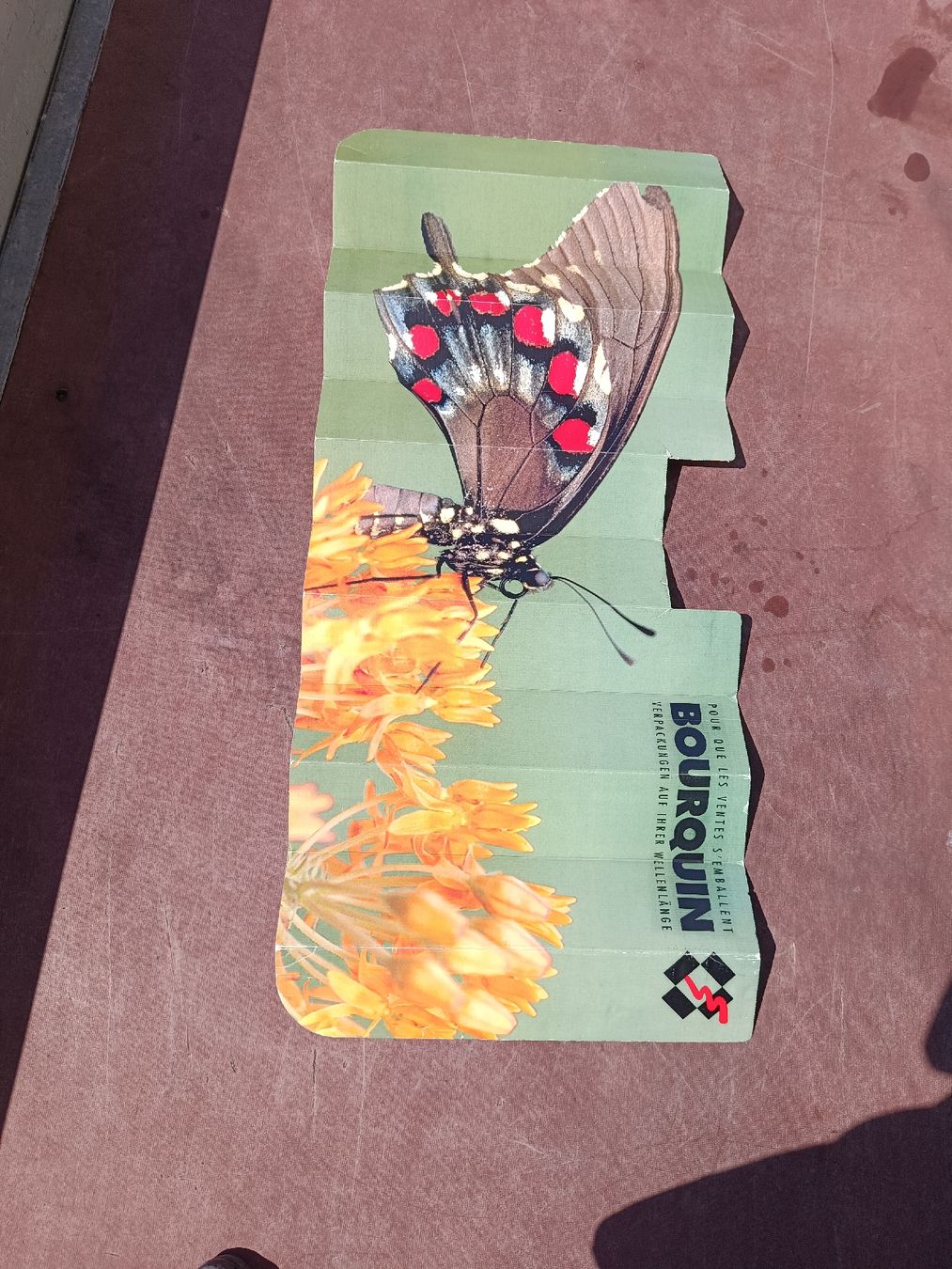 Insegne: Bourquin Butterfly Fächer-(em68) – Usato da Künten venduto da Schnaepplihuus 4