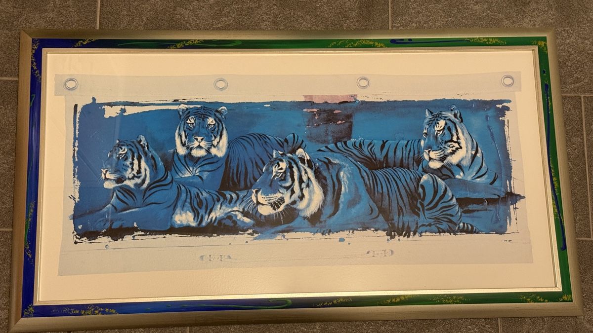 Foto & Immagini: Rolf Knie, weisse Tiger – Usato da Otelfingen venduto da rofl33