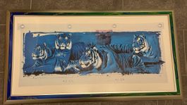 Rolf Knie, weisse Tiger