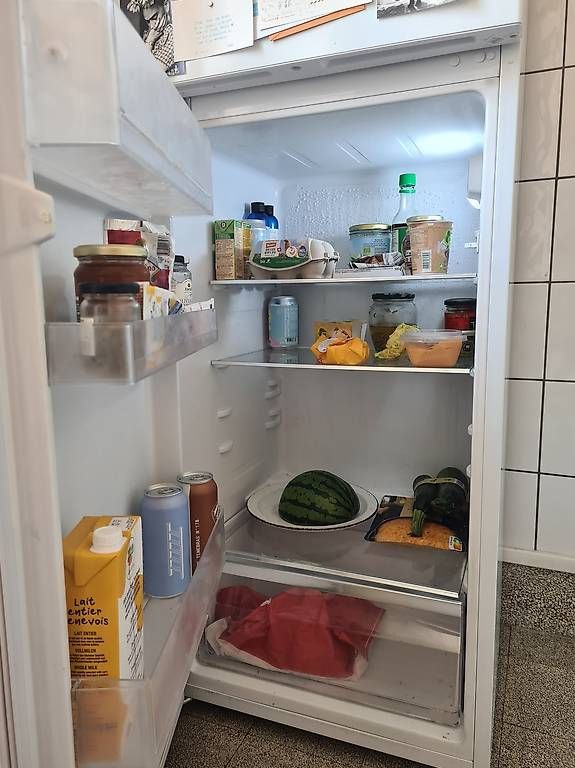 Frigoriferi: Frigo Electrolux – Usato da Genève venduto da ate_9hnh 1