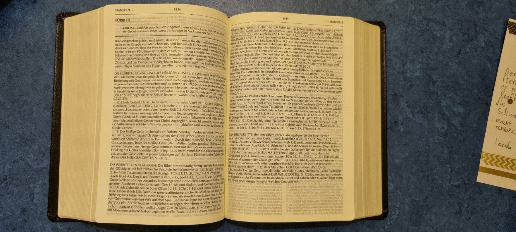 Libri: Studienbiebel – Usato da Büren zum Hof venduto da Habbi72 3