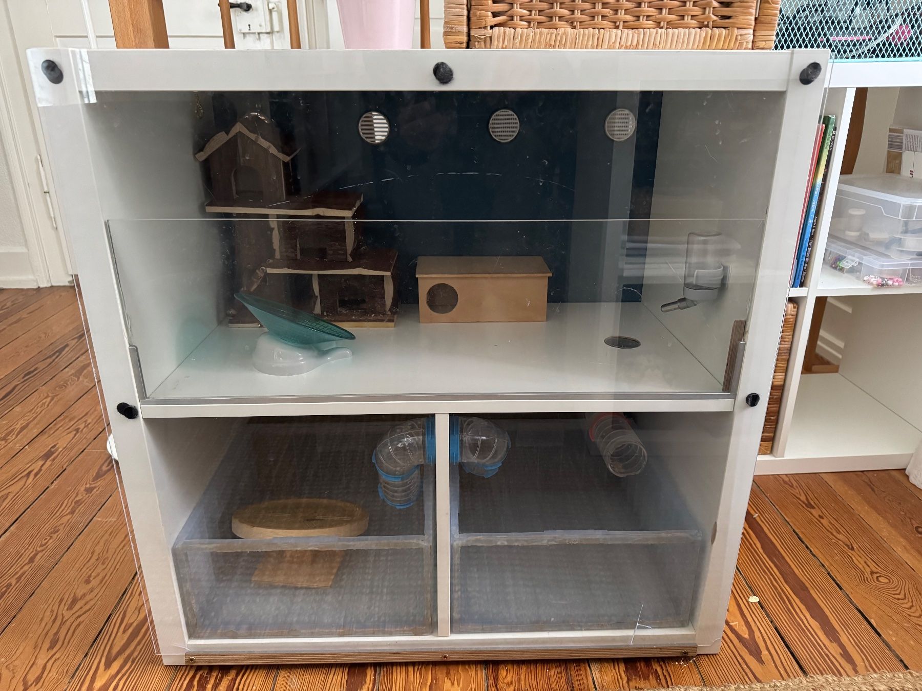 Gabbie, trasporto & Sicurezza: Hamsterkäfig IKEA-Hack Kallax – Usato da Winterthur venduto da Reto7500