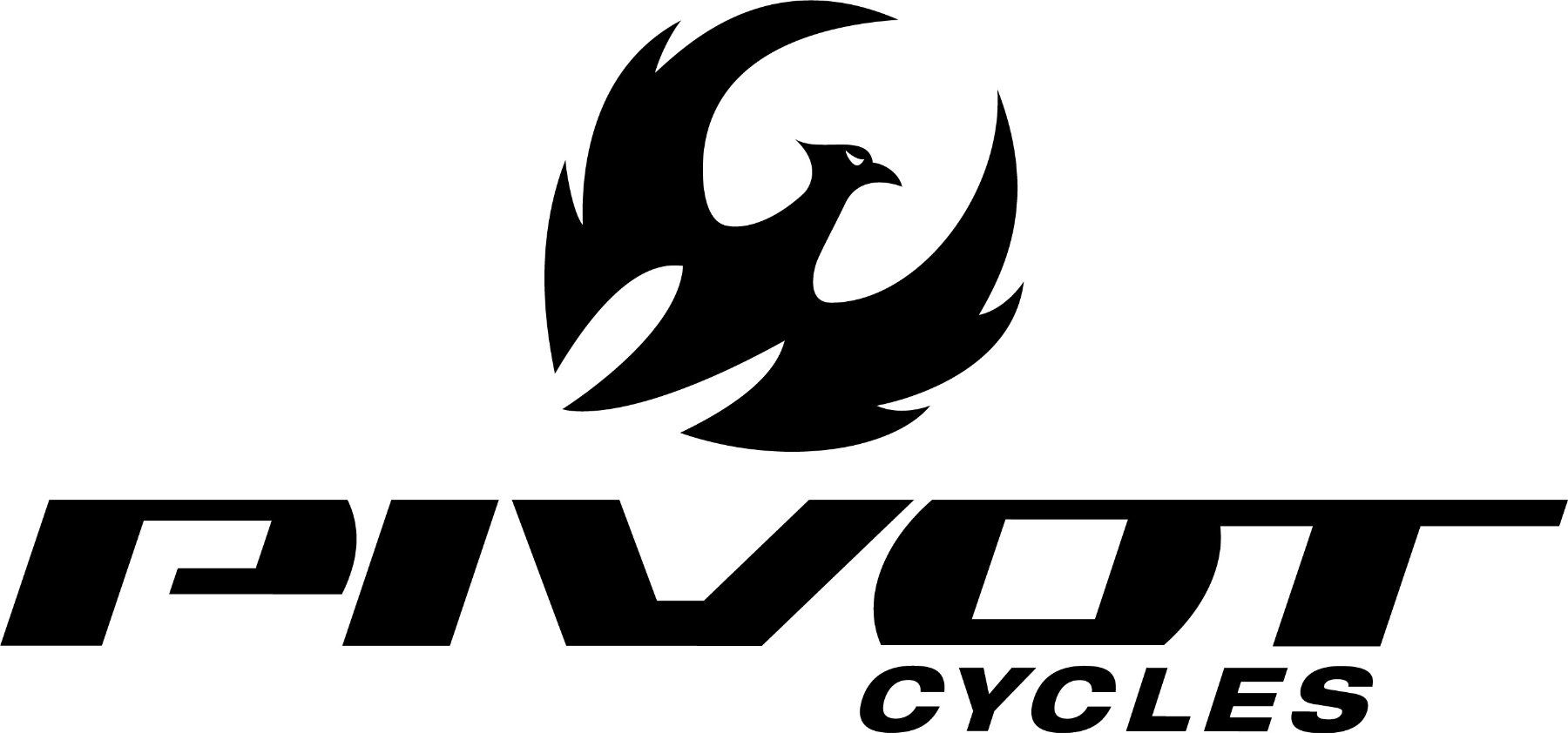 Vélos: *Pivot Shuttle SL Pro Light Enduro E-MTB Carbon – Neuf (Voir description) à Hausen AG par Dream_Parts 5