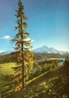 SILVAPLANA Silsersee mit Piz La Margna