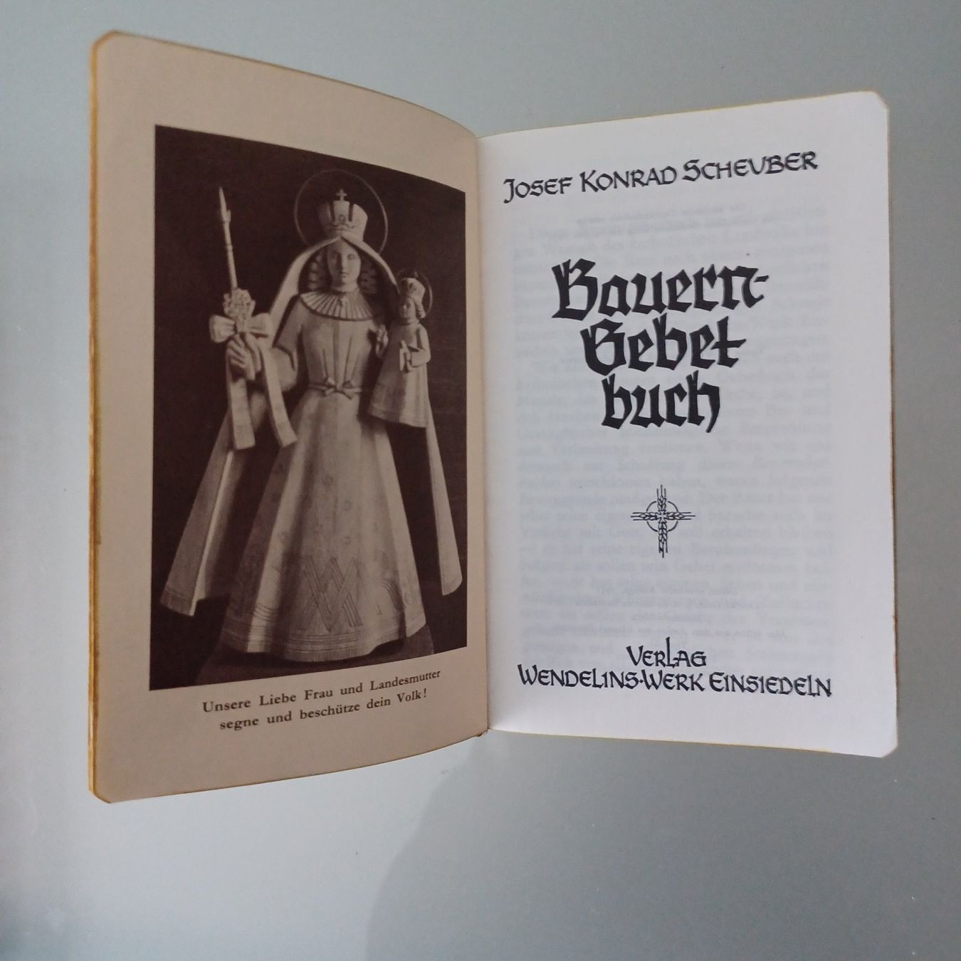 Libri: Bauern Gebetsbuch 1955 – Usato da Abtwil SG venduto da luupsy 1