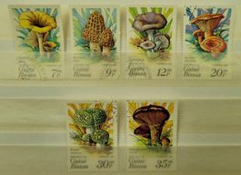 GUINEA BISSAU – PILZE / CHAMPIGNONS