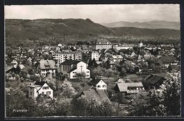 Pratteln, Gesamtansicht aus der Vogelper