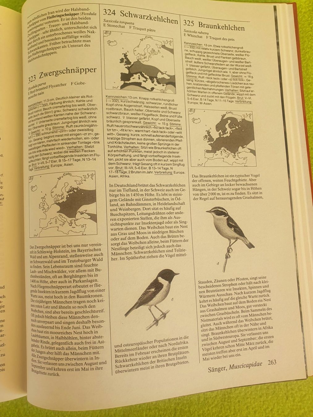 Bücher: Fotoatlas der Vögel – Gebraucht aus Steinhausen von joseph-sen 9