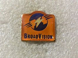 Ansteckpin 94: Broadvision