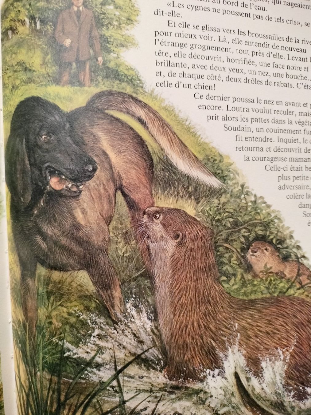 Libri: Poucette et autres contes – Usato da Cortaillod venduto da rozinna 6