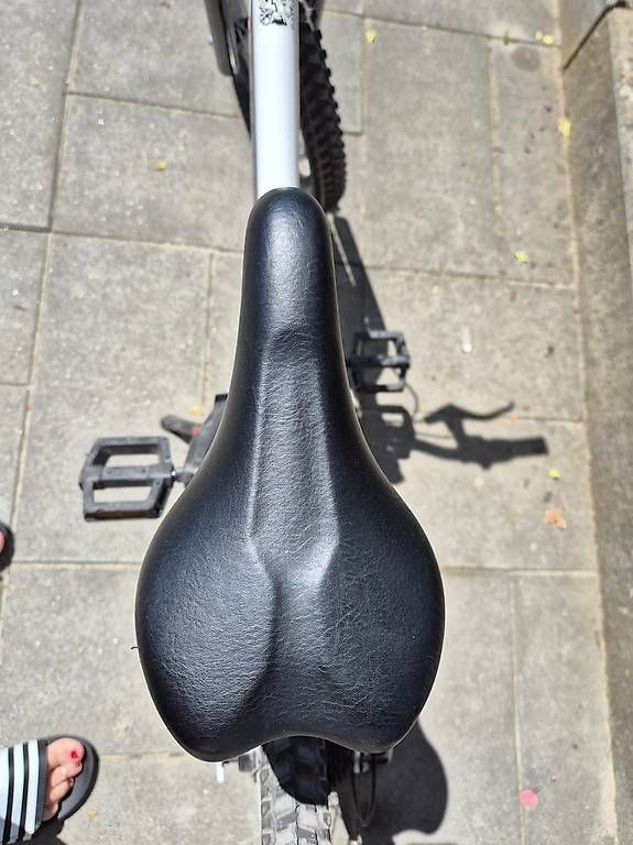 Biciclette: 20 Zoll Rockrider  – Usato da Sins venduto da suissr 1