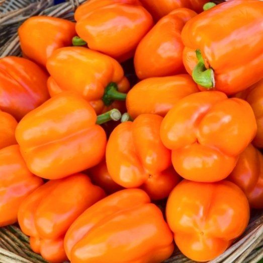 Piante & sementi: 20 Samen Orange "Paprika" Graines Poivron Orange – Nuovo e nell'imballaggio originale da Rovio venduto da POSITIFFARTandPLANTS 2
