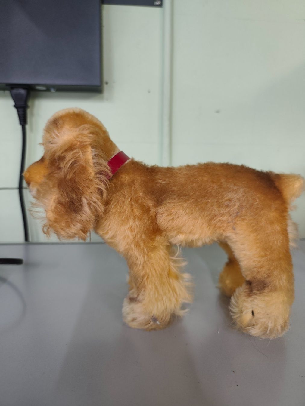 Steiff Giocattoli: Stofftier Steiff Hund " Cockie " – Usato da Goldswil b. Interlaken venduto da troedlermarkt-goldsw 1