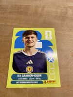 Panini SCO 20