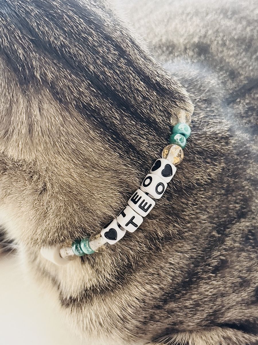 Katzenbaum - Kratzbaum: Katzen EM Halsband 🌼 – Neu (gemäss Beschreibung) aus Altdorf UR von nemio.shop 2
