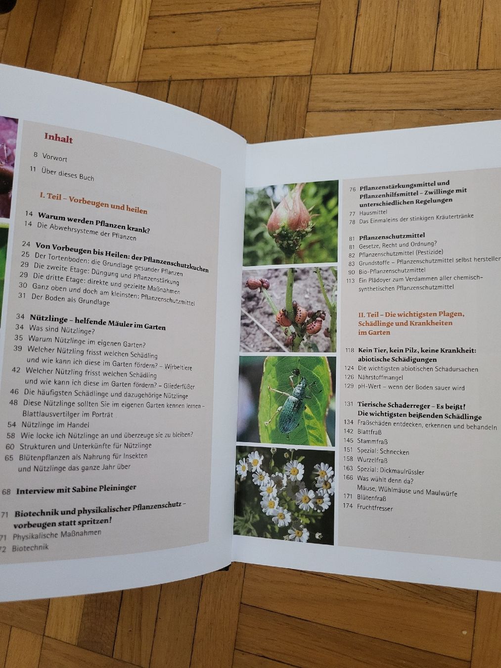 Libri: Handbuch Pflanzenschutz im Biogarten – Usato da Zürich venduto da Shiva79 2