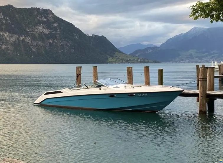 Wellcraft Barche: Wellcraft Nova 3 Sportboot – Usato da Immensee venduto da basi.marco