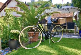 Bianchi aus den 50er Jahren 