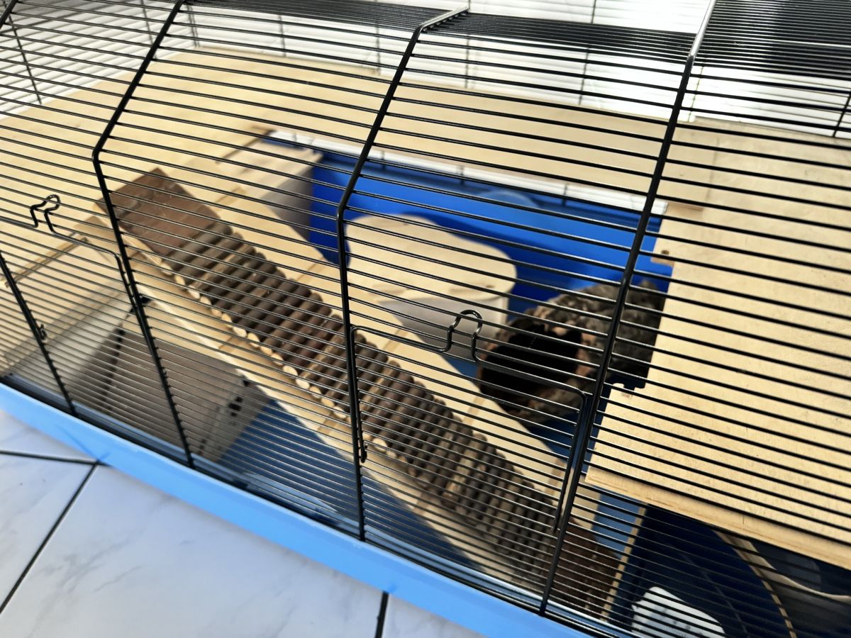 Gabbie, trasporto & Sicurezza: Hamsterkäfig inkl. Zubehör – Usato da Wallenwil venduto da Mutternehmerin