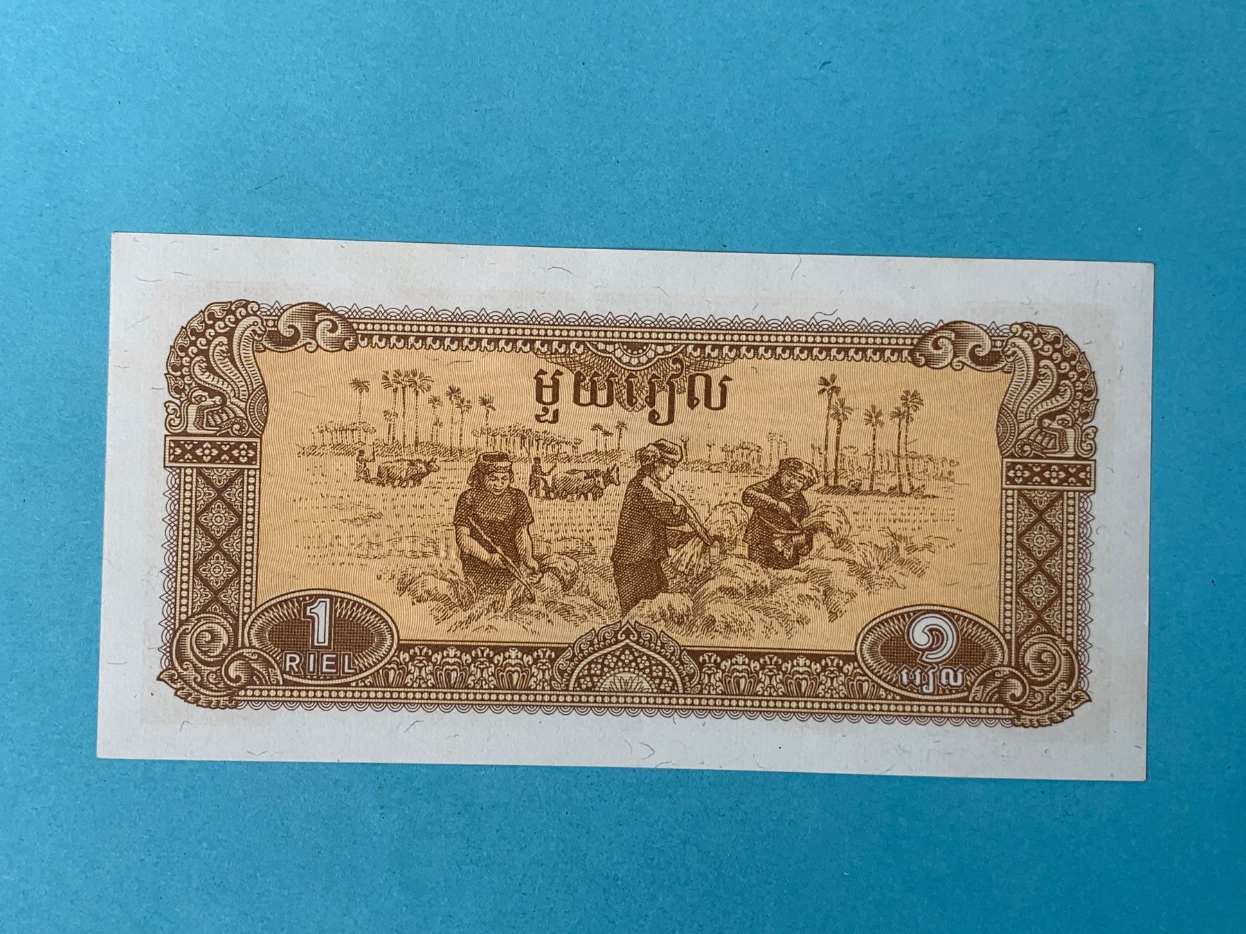 Banconote: CAMBODIA - 1 Riel 1979 - Stempelfrisch / Non Circulé – Usato da Le Lignon venduto da Trikles 1