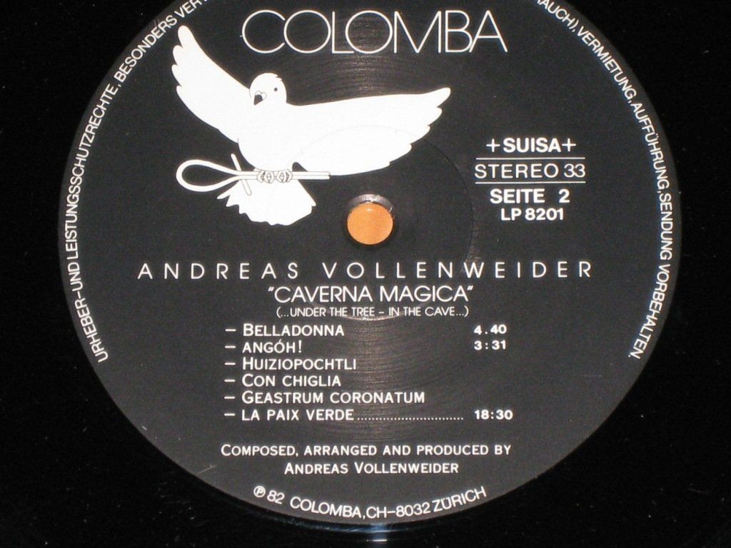 Dischi in vinile: LP - ANDREAS VOLLENWEIDER - CAVERNA MAGICA – Usato da Steckborn venduto da Quo7 2