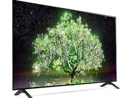 Fernseher LG 55" OLED TV