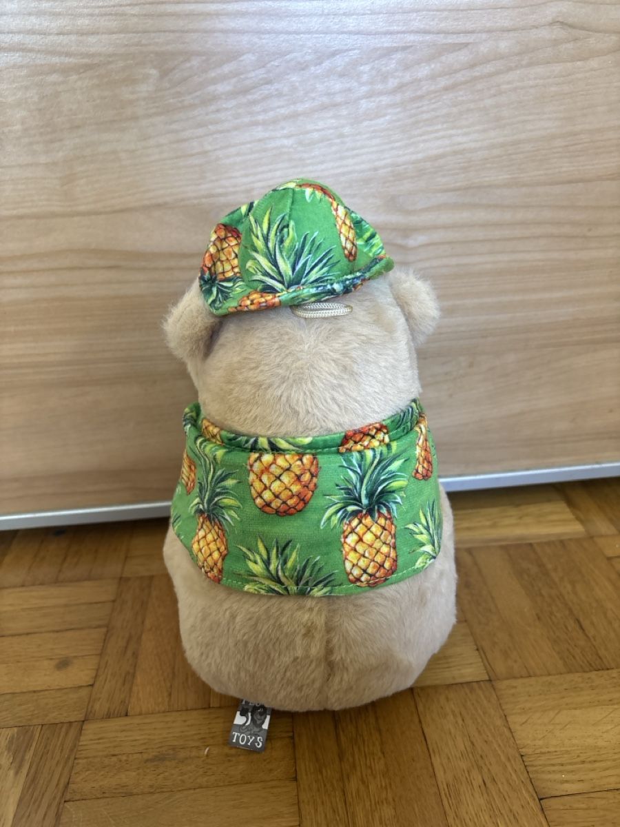 Giocattoli: Plüschtier Capybara mit Hemd Ananas – Nuovo (secondo la descrizione) da Niederhasli venduto da ani_7wdn 2