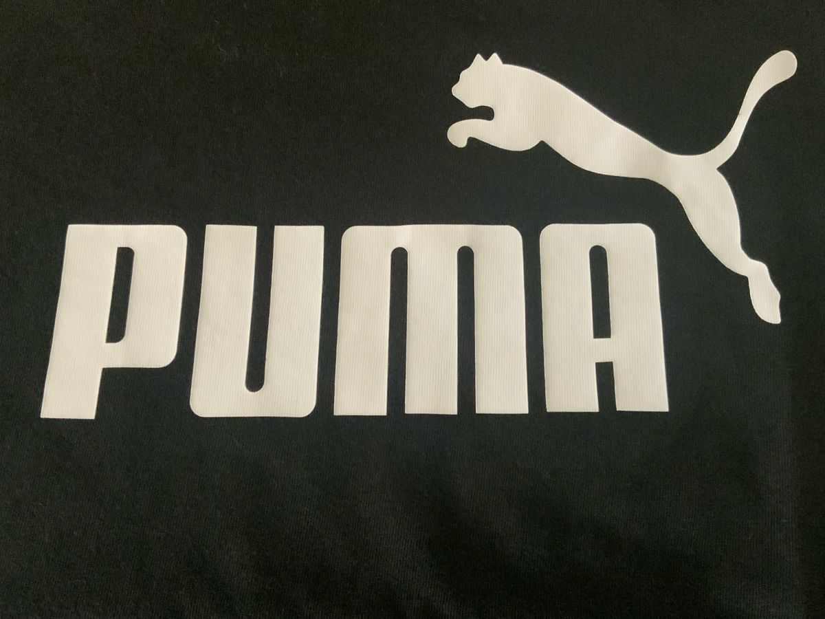 Puma T-shirt: T-Shirt, PUMA – Usato da Stäfa venduto da sylla73 1