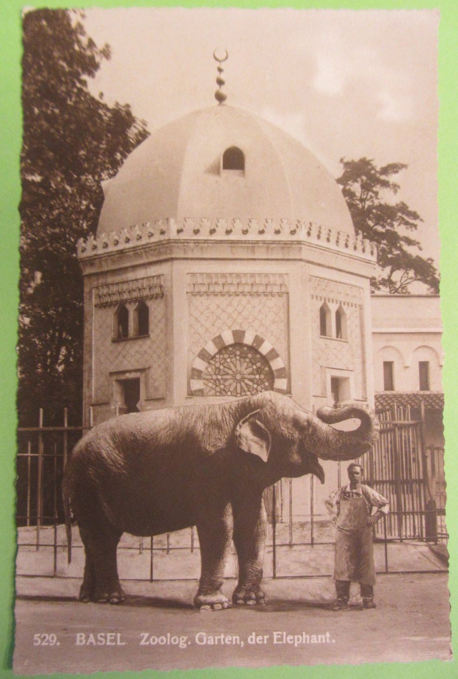Cartoline postali: Ansichts Karte  Zoo Basel um 1900 – Usato da Malters venduto da Hausi88