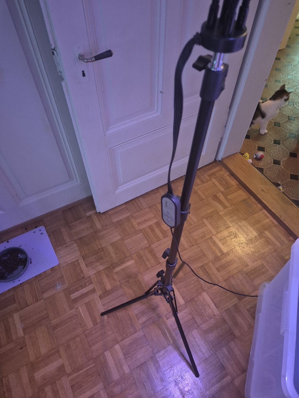 Lampade: Pflanzenlampe LED mit Ständer und Timer 2 Stk – Usato da Wald ZH venduto da _Hotarubi_ 3