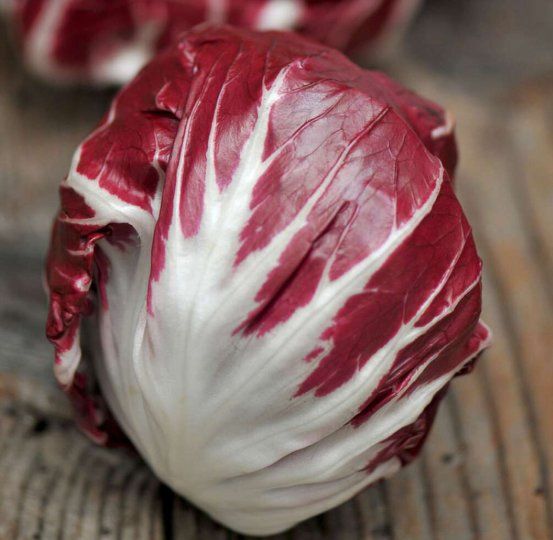 Plantes & graines: Zichorie 'Palla Rossa'  / 20 Samen – Neuf (Voir description) à Hinteregg par ERFOLG78