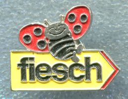 BLICK Wegweiser  fiesch