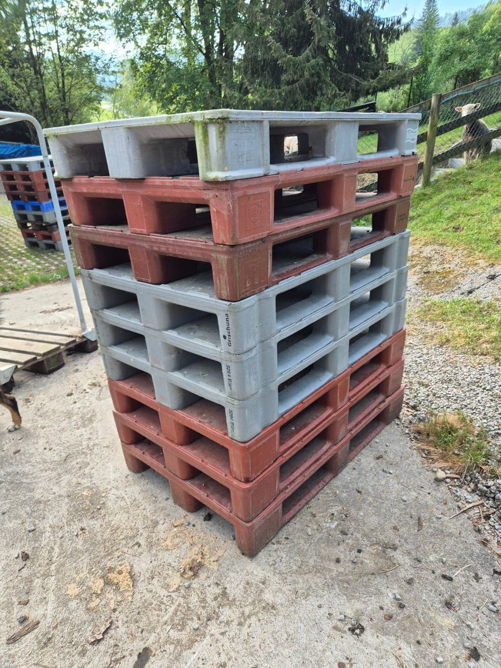 Pallets: Kunststoff-Palett  SBB Palett – Usato da Stein AR venduto da Bienli4