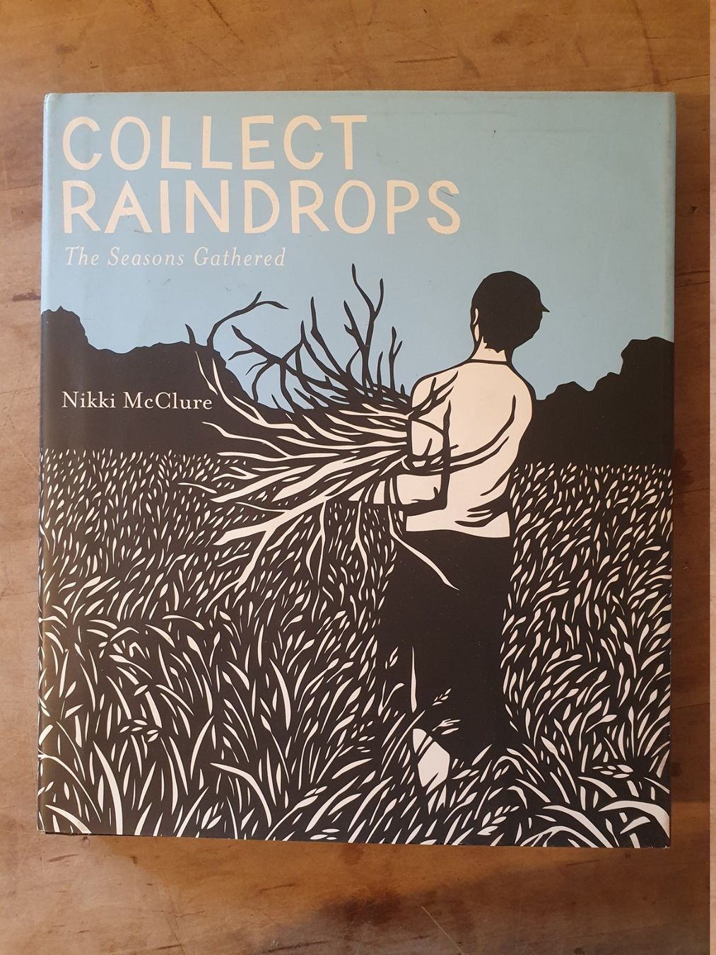 Libri: Collect Raindrops Mikki McClure Abrams – Usato da Zürich venduto da loosebone