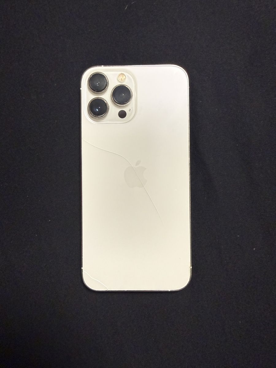 Apple Telefoni cellulari / Smartphones: Iphone 13 Pro Max 256 GB – Usato da Echandens venduto da Milos.24