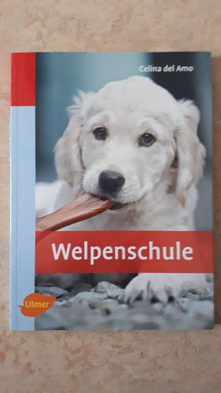 Libri: Welpenschule Celina del Amo – Usato da Basel venduto da Alacant