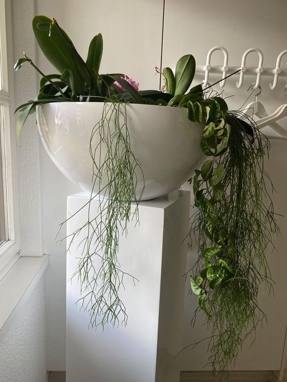 Blumentopf mit Säule Kaufen auf Ricardo