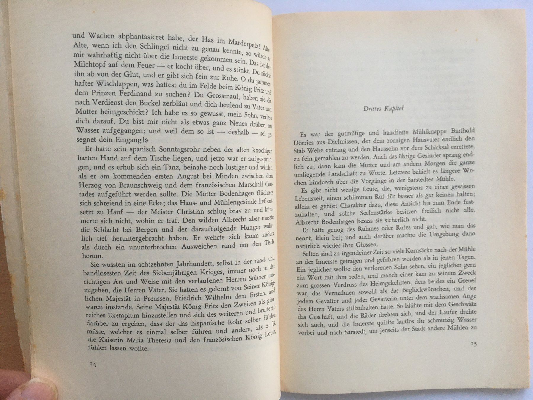 Bücher: Die Innerste; Wilhelm Raabe – Gebraucht aus Grenchen von Kogi7 3