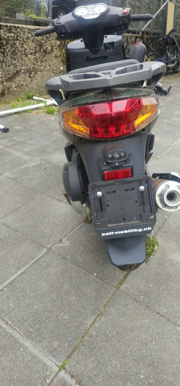 Tell Scooters: TELL Logik 125 – Gebraucht aus Huttwil von Gucci-77 3
