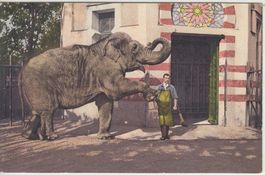 Zoologischer Garten Basel, 1917