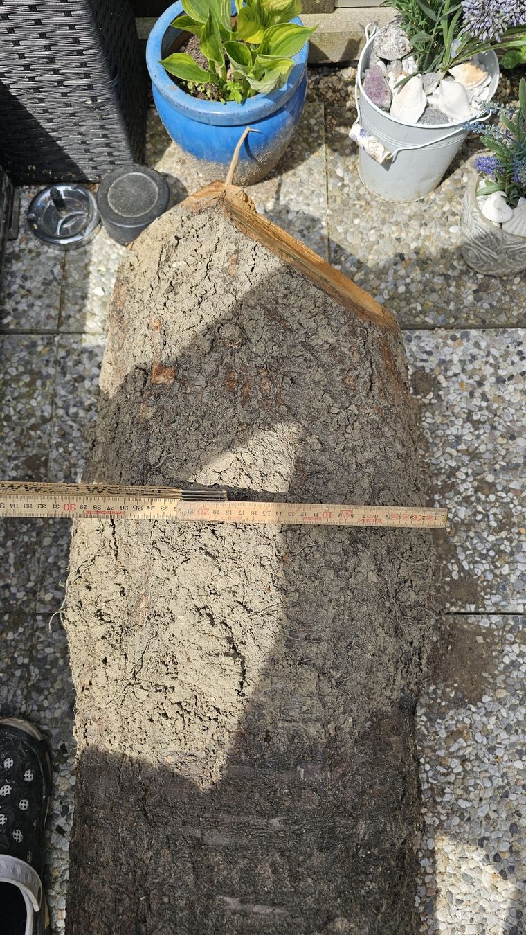 Articoli in legno: Kirsche Baumstamm – Usato da Ebikon venduto da Mmoe 4