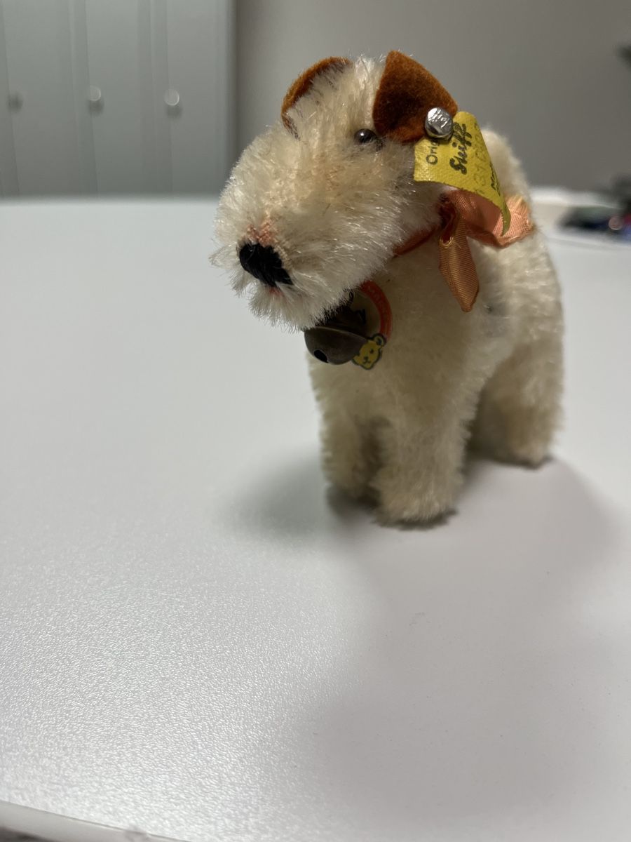 Steiff Giocattoli: Steiff Hund Terrier klein mit Glocke – Usato da Dietikon venduto da cre8different 1