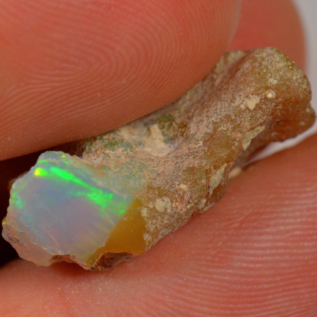 Pietre preziose: 10.7 Karat - Roher Äthiopischer Welo Opal – Nuovo (secondo la descrizione) da Rüti ZH venduto da DeinOpal 3
