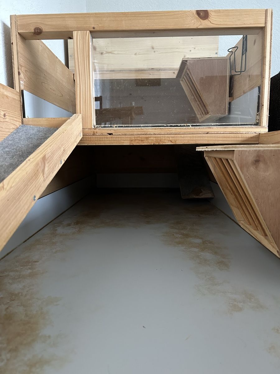 Käfige, Transport & Sicherheit: Selbstgebauter Meerschweinchenstall mit Plexiglasfront – Gebraucht aus Diegten von chesch.b 2