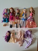 Ever After High Dolls lot Blondie Raven Apple Melody Ashlynn